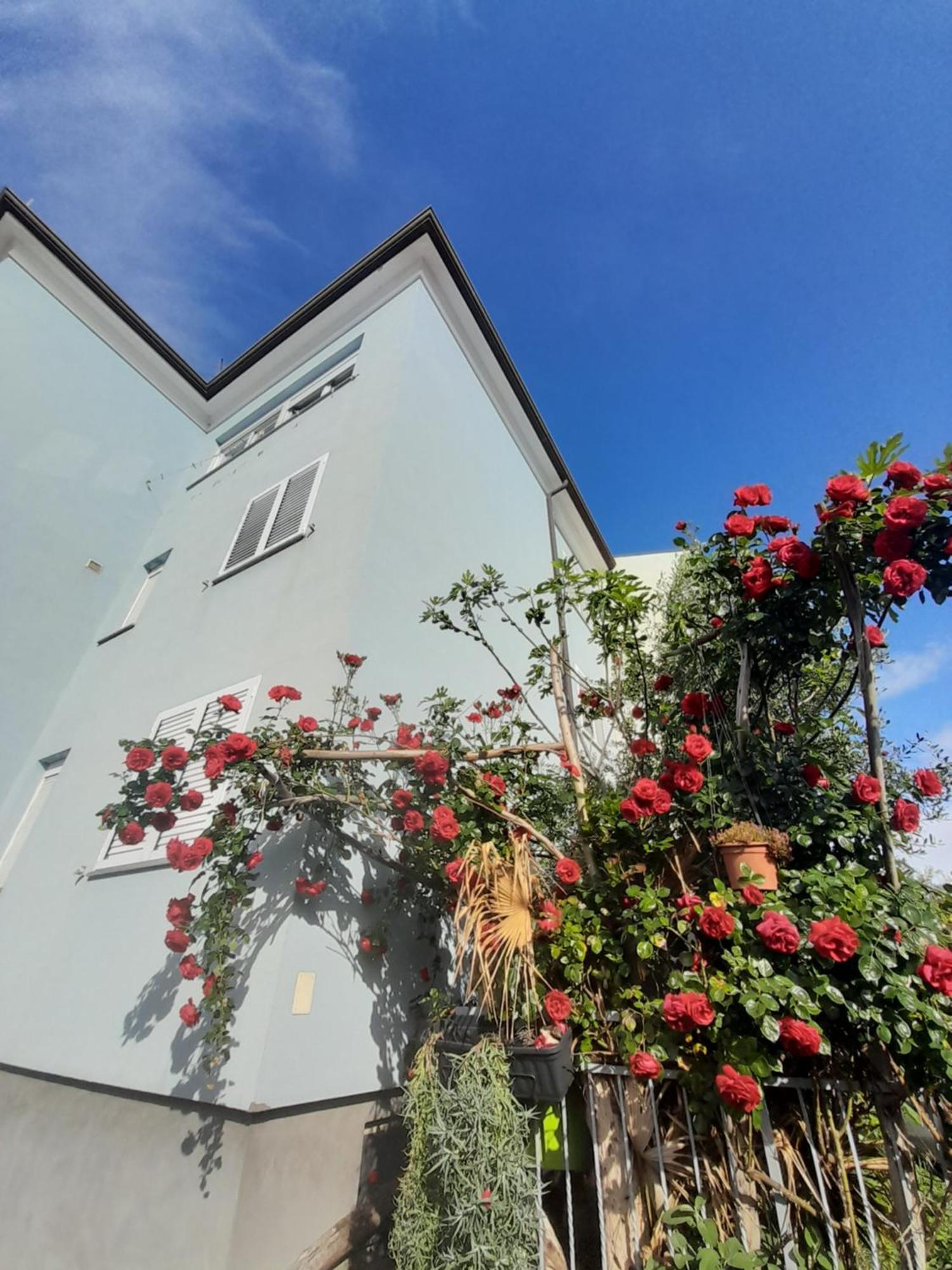Appartamento Lea Rovigno Esterno foto
